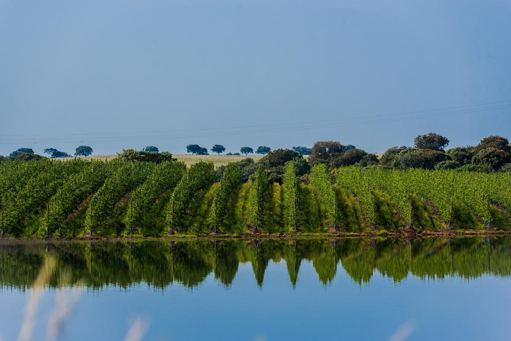 מלון אלברונה Vila Gale Alentejo Vineyard - Clube De Campo מראה חיצוני תמונה